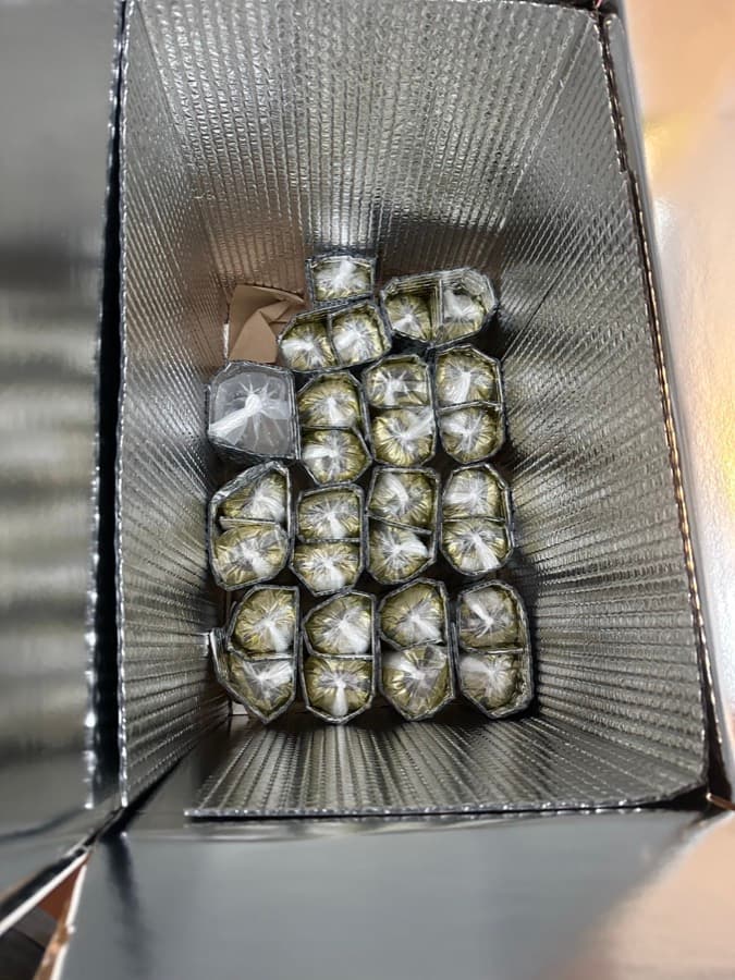 Around twenty bagged fish packed in rows inside a foil-lined insulated shipping box before the flight from Bangkok