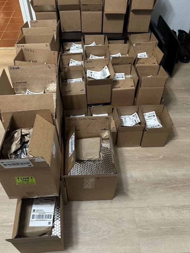 Around fifty individual parcels packed, labelled and staged for USPS and UPS collection, one marked Live Fish Handle With Care
